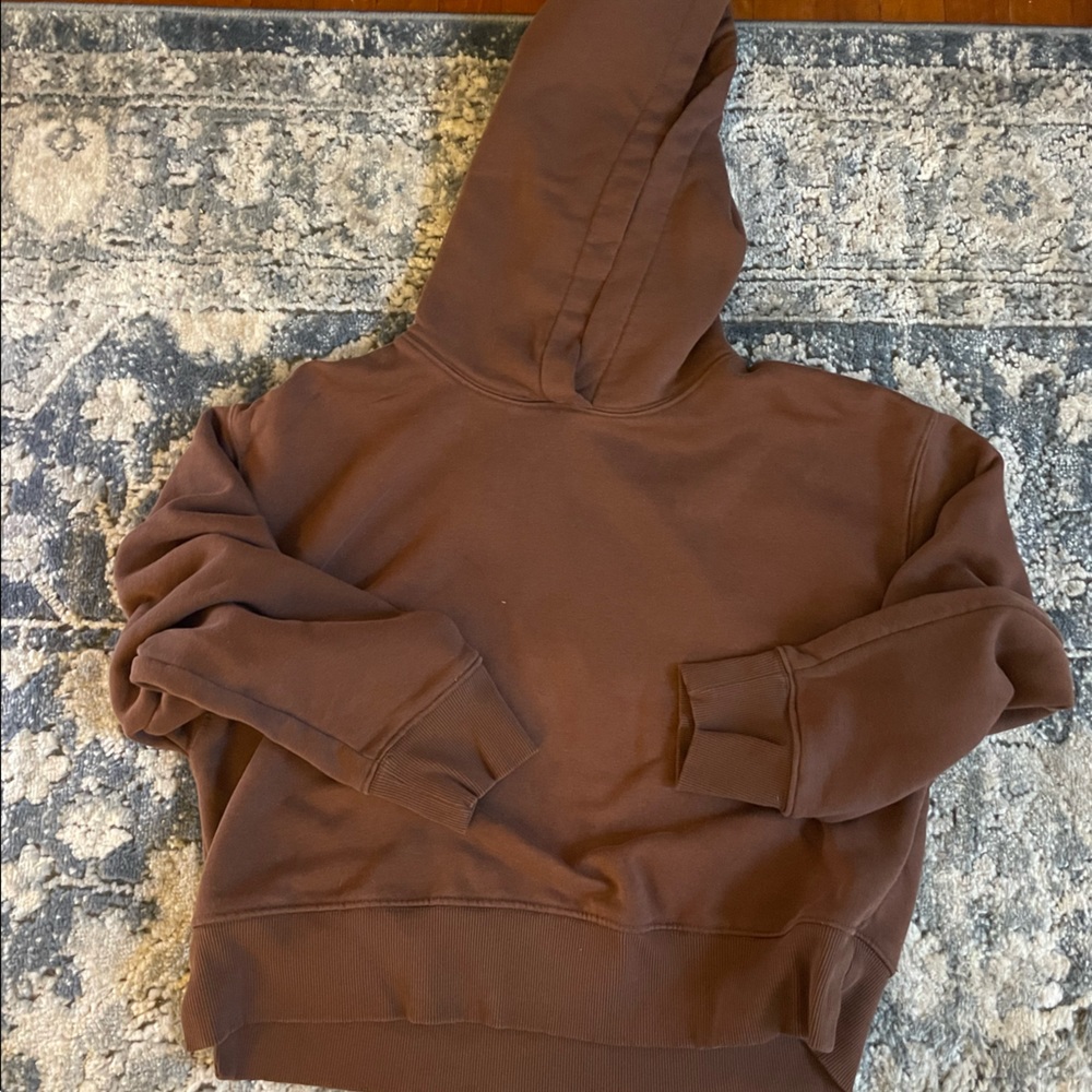 Zara Plain Brown Hoodie